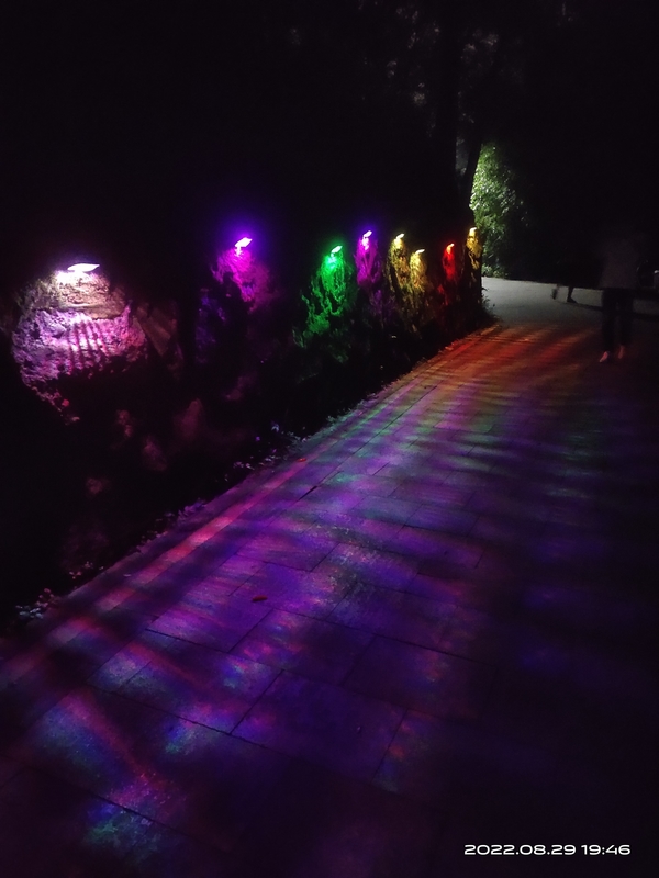 Luce alimentata solare del giardino dell'ABS solare all'aperto decorativo delle luci dell'OEM IP65