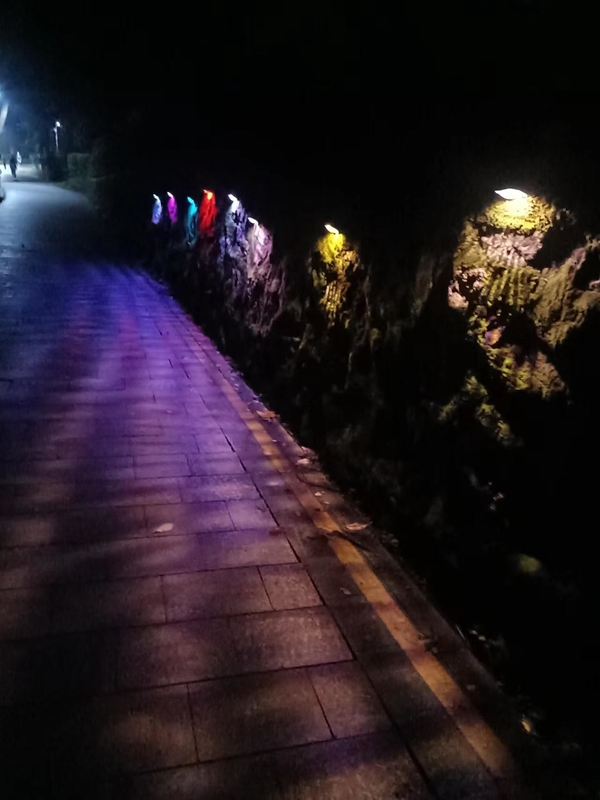 IP65 recinto solare Flood Lights For RGB all'aperto decorativo per paesaggio