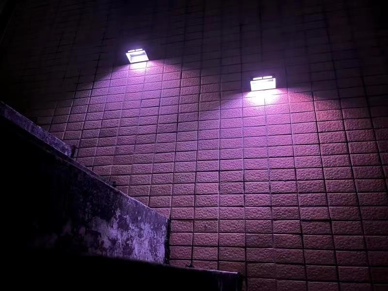 Lampade di giardino solari impermeabili RGB IP65 senza fili Lampade a cambiamento di colore a energia solare