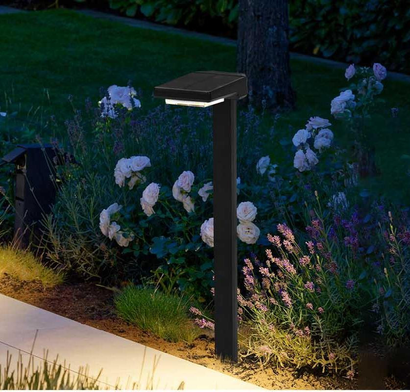 Lampade a LED a energia solare con accensione/spena automatica 6 Pcs LED IP65 impermeabile