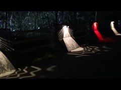 Luci solari KF14A della parete del giardino