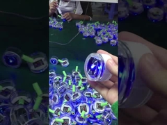 Il giardino principale alimentato solare di plastica 1.2V del PC accende all'aperto impermeabile 40MA per la decorazione