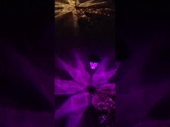 Paesaggio impermeabile di livello del suolo IP65 che accende le luci alimentate solari del paesaggio